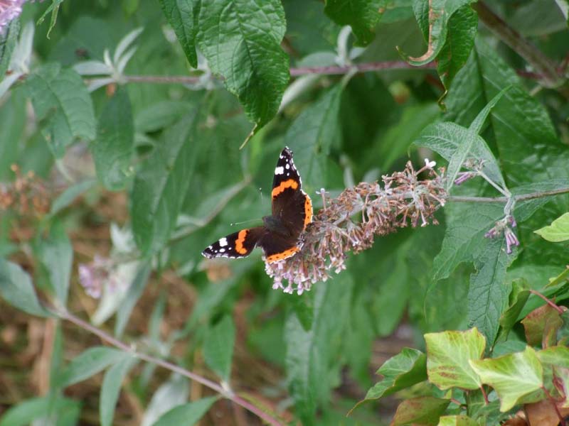 English Lakeland Walks - Self-Guided Lake District Walks