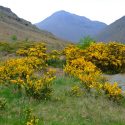 Spring comes to the English Lake District