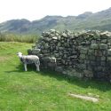 Hard Knott Roman Fort