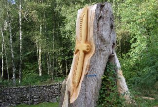 Forest Sculpture in Far Easedale